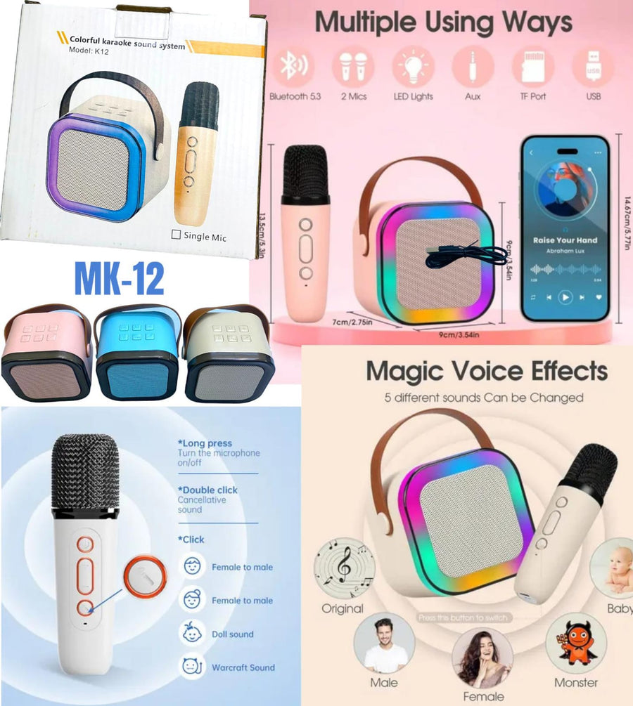 Karaoke speaker with microphone